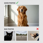 Pixar|Custom  Portraits Using Pet Photo Personalized Digital Dog Portraits Cat